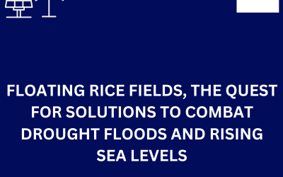 Floating Rice Fields, the quest for solutions to combat drought floods and rising sea levels